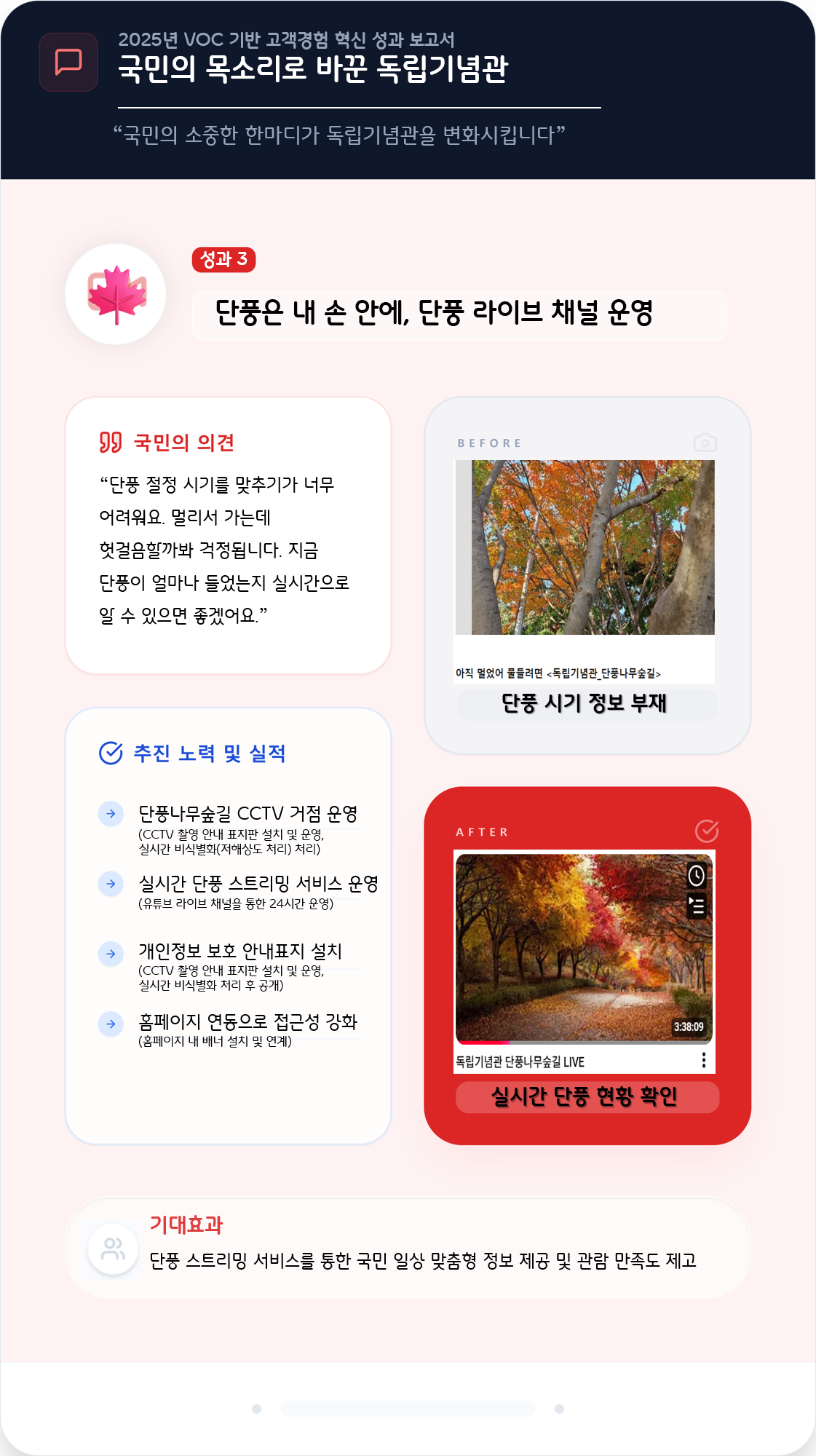 단풍은 내 손 안에, 단풍 라이브 채널 운영